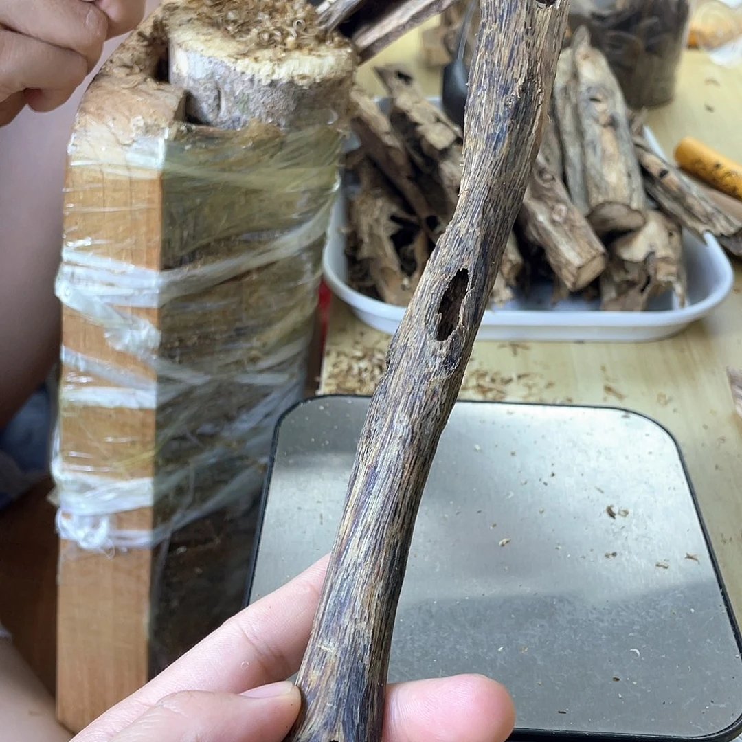 木绿奇楠原材料虫漏23克