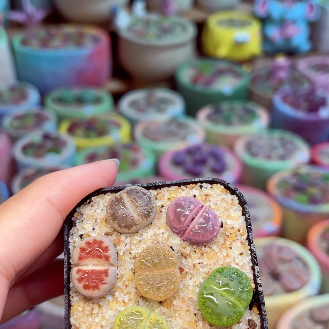 991。8888888888888888888