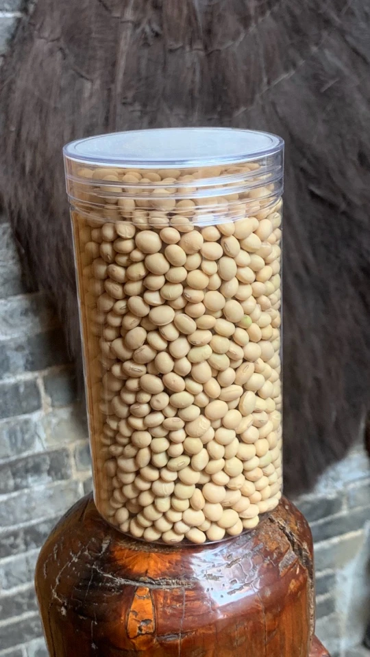 广西农家黑豆黄豆原生品种自打豆浆用豆煲汤