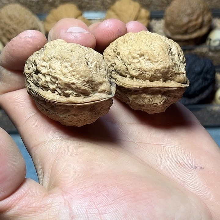 文玩核桃把件31号千丈银龙38尺