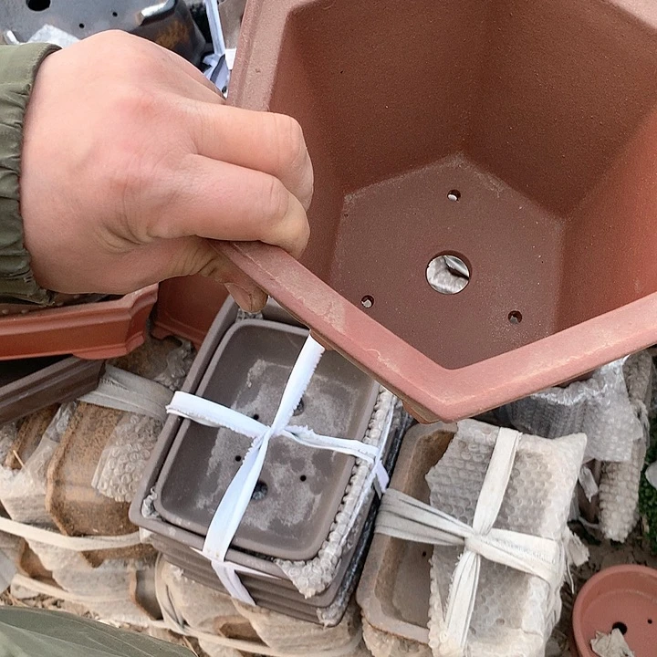 紫砂我要不明天要好好工作