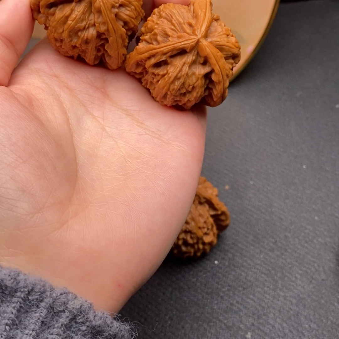 鸿****城白狮子111111111