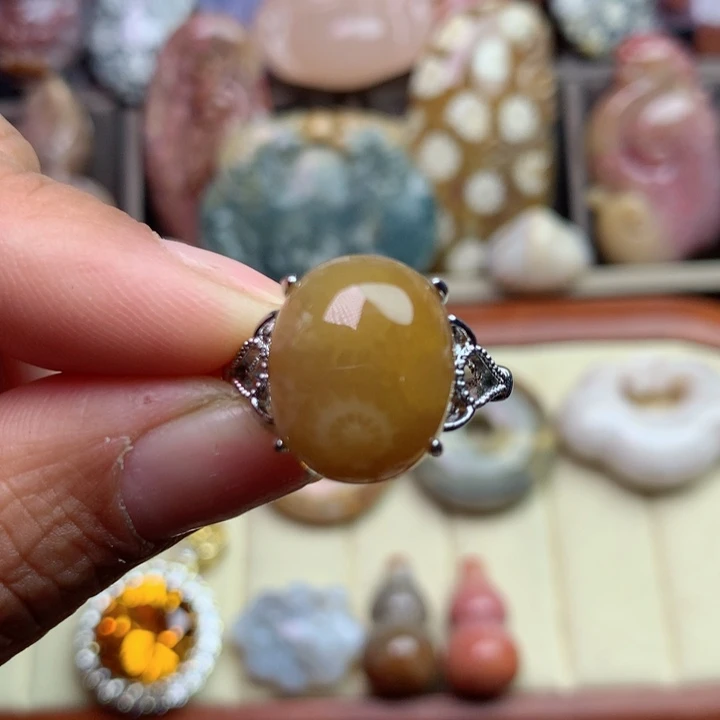 硅化珊瑚（珊瑚玉）颈饰未镶嵌