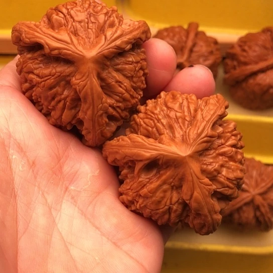 文玩核桃吊坠用****1核桃