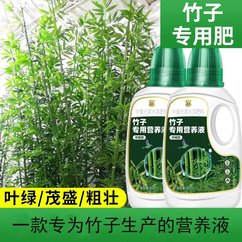 竹子专用浓缩营养液治黄叶佛肚竹红观音竹内门竹罗汉竹米竹液体肥