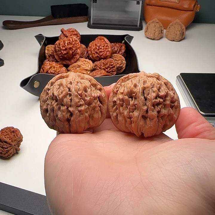 44-42-38一代铁楼4号