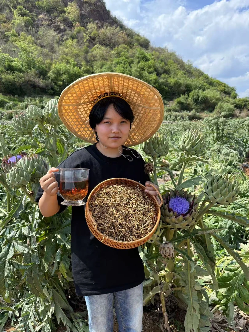 【洋蓟茶】云南朝鲜蓟法国百合原生态养生茶100克