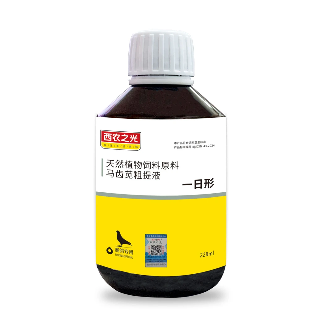 西农之光一日行改善水绿便 平衡赛鸽肠道菌群，提高全棚鸽体免疫力