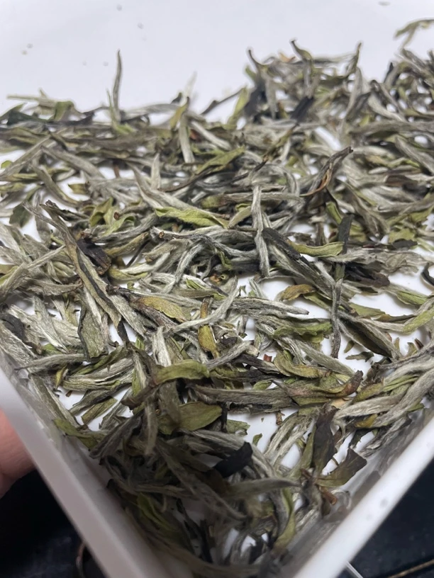2024年 荒野茶 特级牡丹 兰香兰韵显