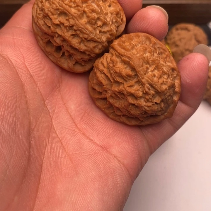 流星锤狮子头39尺有修