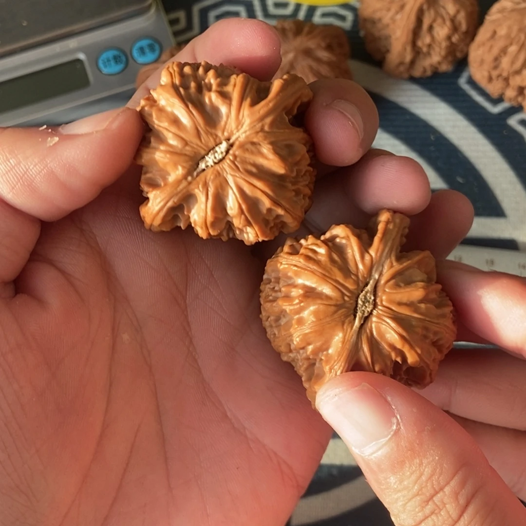 奔***灞43尺微修白狮子打底