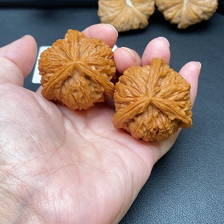 松***柏文玩核桃把件白奔
