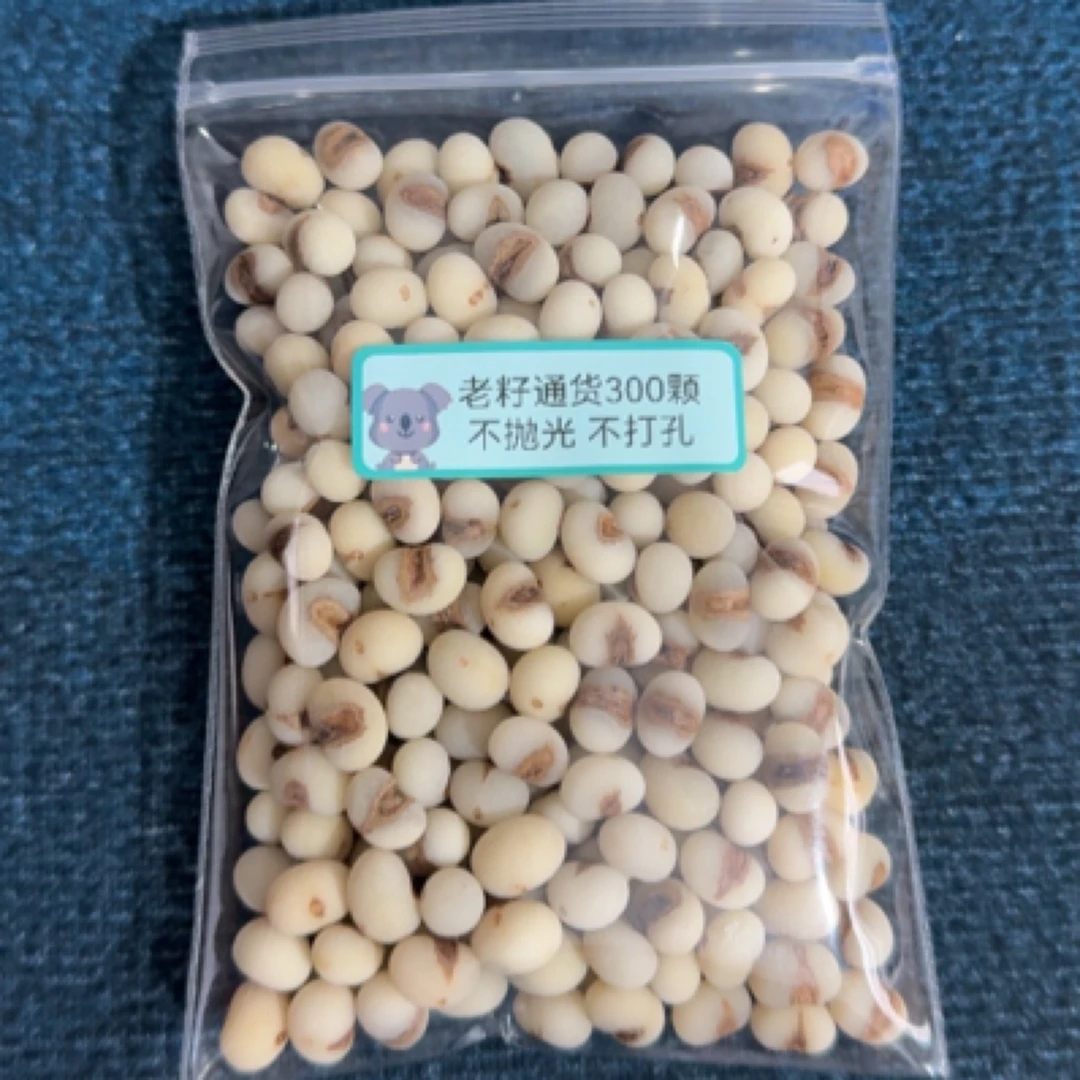 棕榈子300颗手环手串半成品已打磨去皮 不抛光不打孔颜色尺寸随机