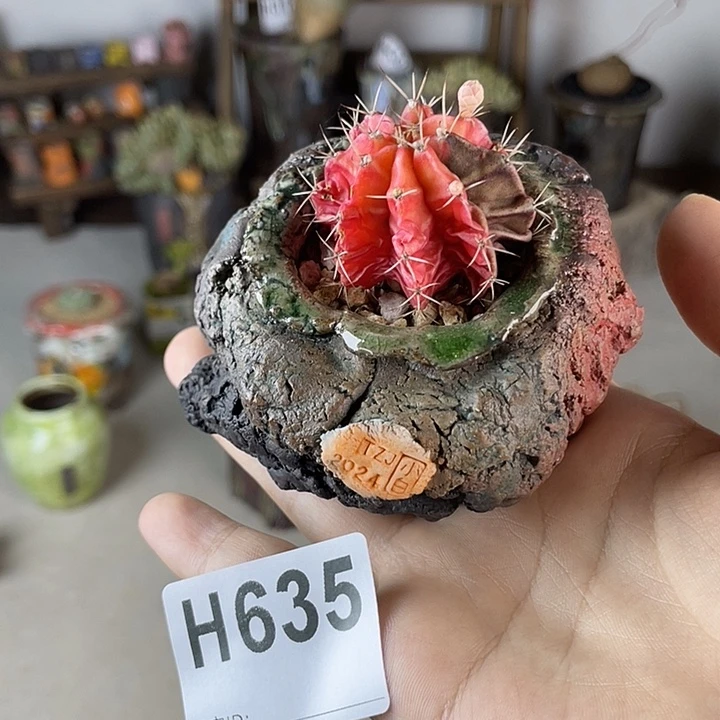 @****哈哈哈哈哈舍不得啊！