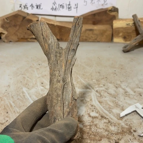 大果紫檀（缅甸花梨）冰*吾