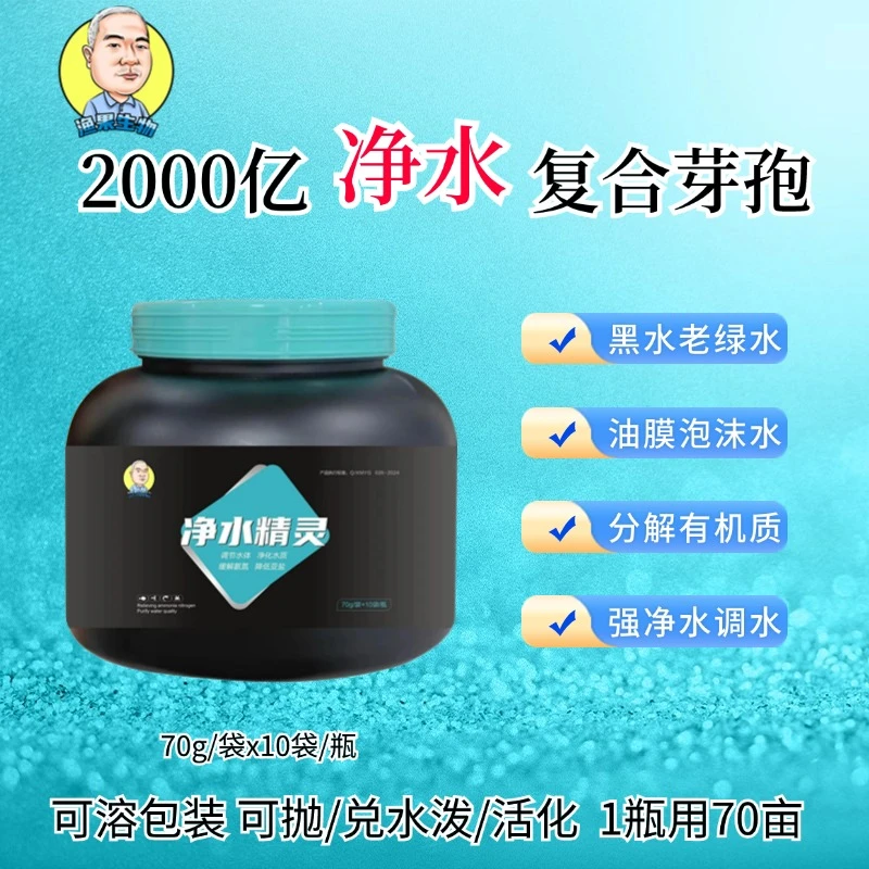 渔人陈刚两千亿枯草芽孢杆菌水产养殖净水调水降亚盐减氨氮稳藻相