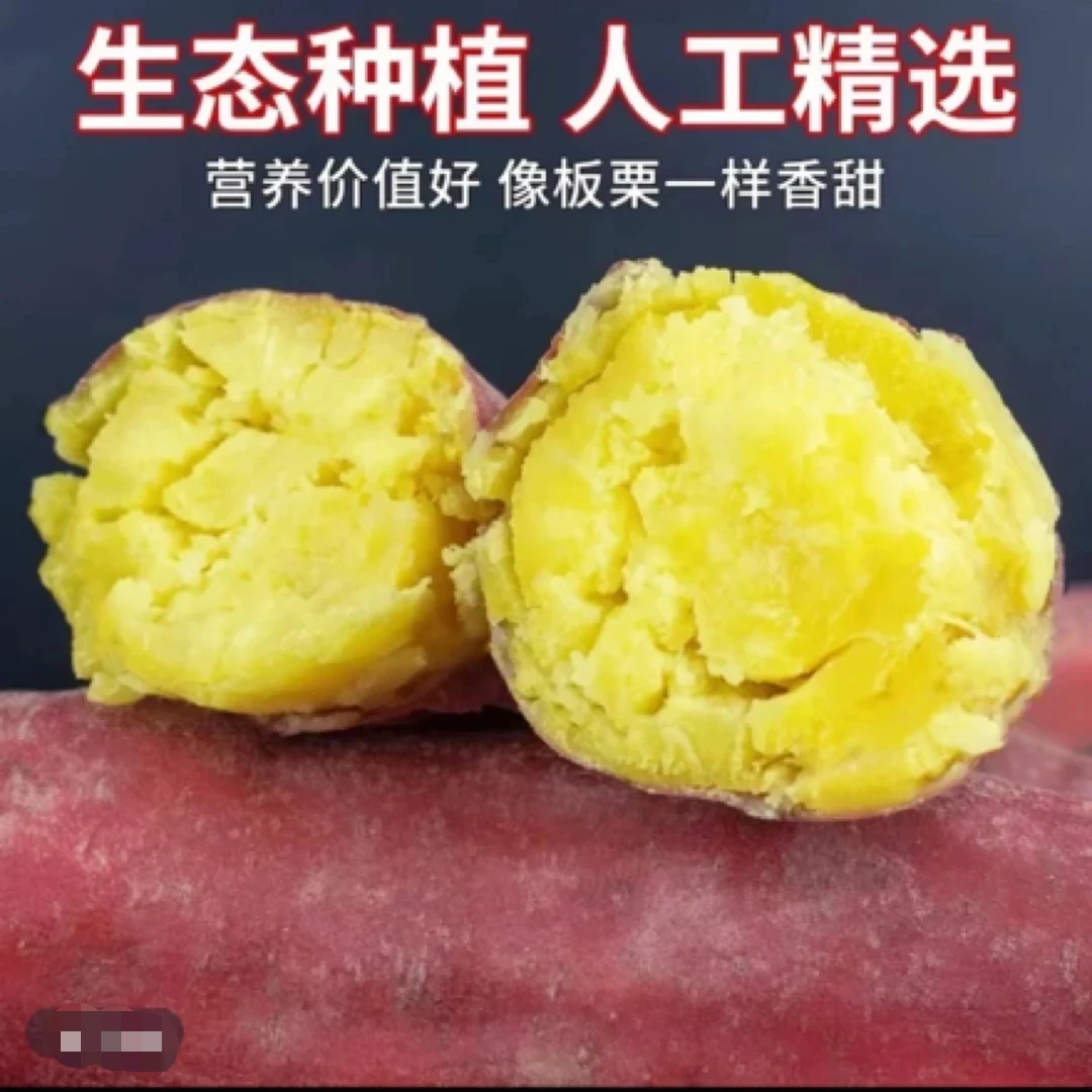 【买3斤送2斤】新鲜现挖沙地板栗红薯粉糯香甜板栗红薯地瓜5斤带箱