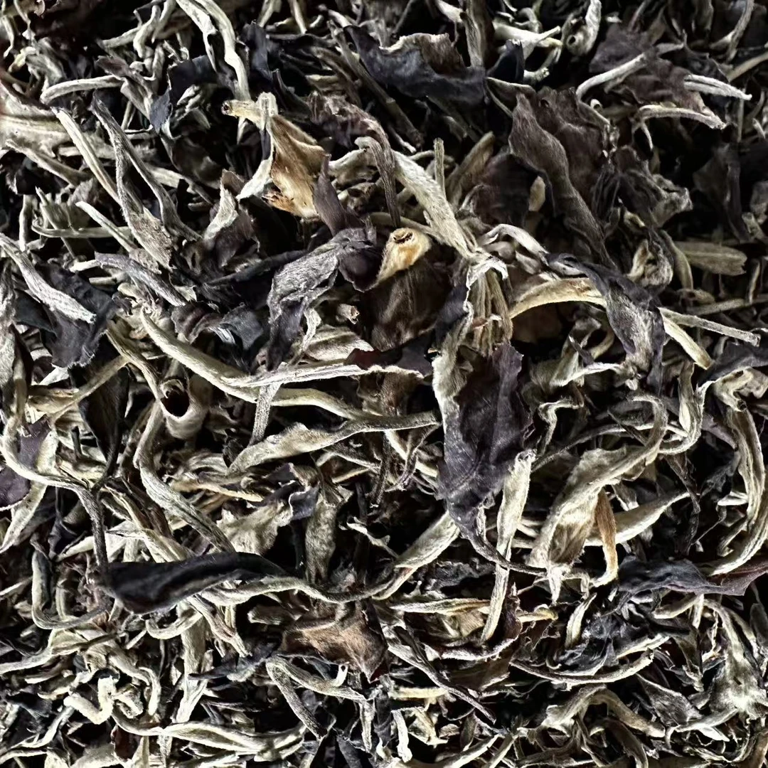 【南国佳丽十五年药香老白茶】云南高山白茶口感甘甜【支持开箱试喝】