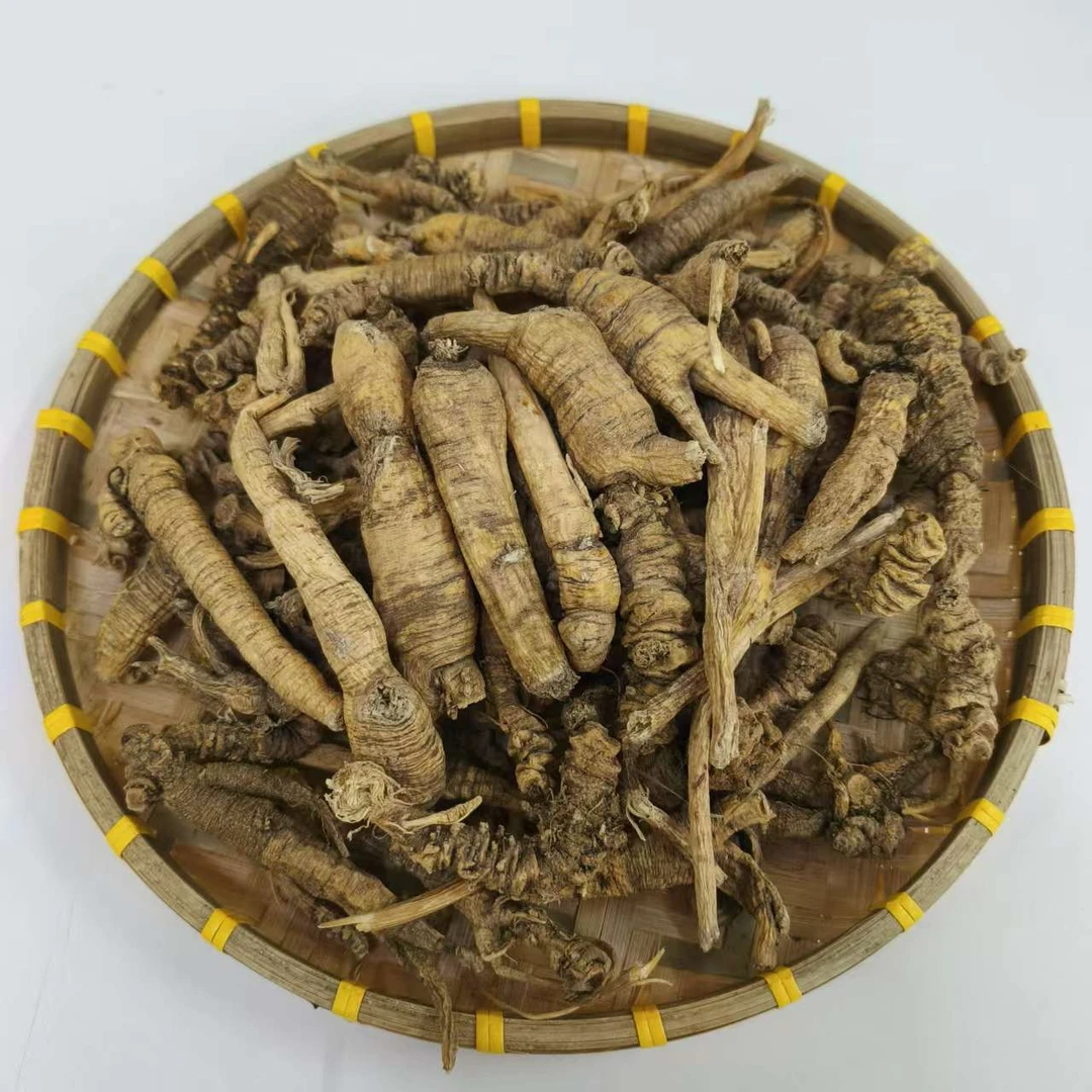 南沙参 【袁瑞泽推荐】