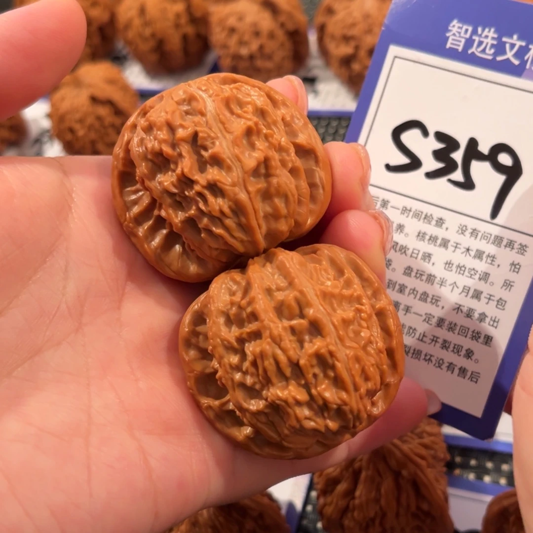 核桃S359号白狮子41尺