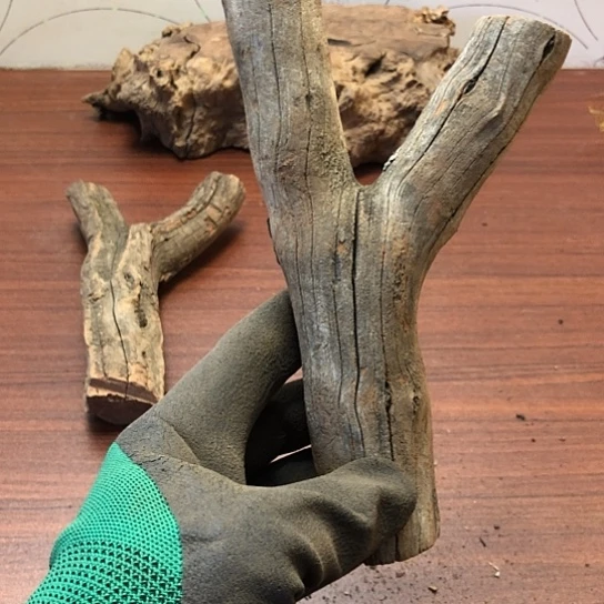 大果紫檀（缅甸花梨）尛*斗