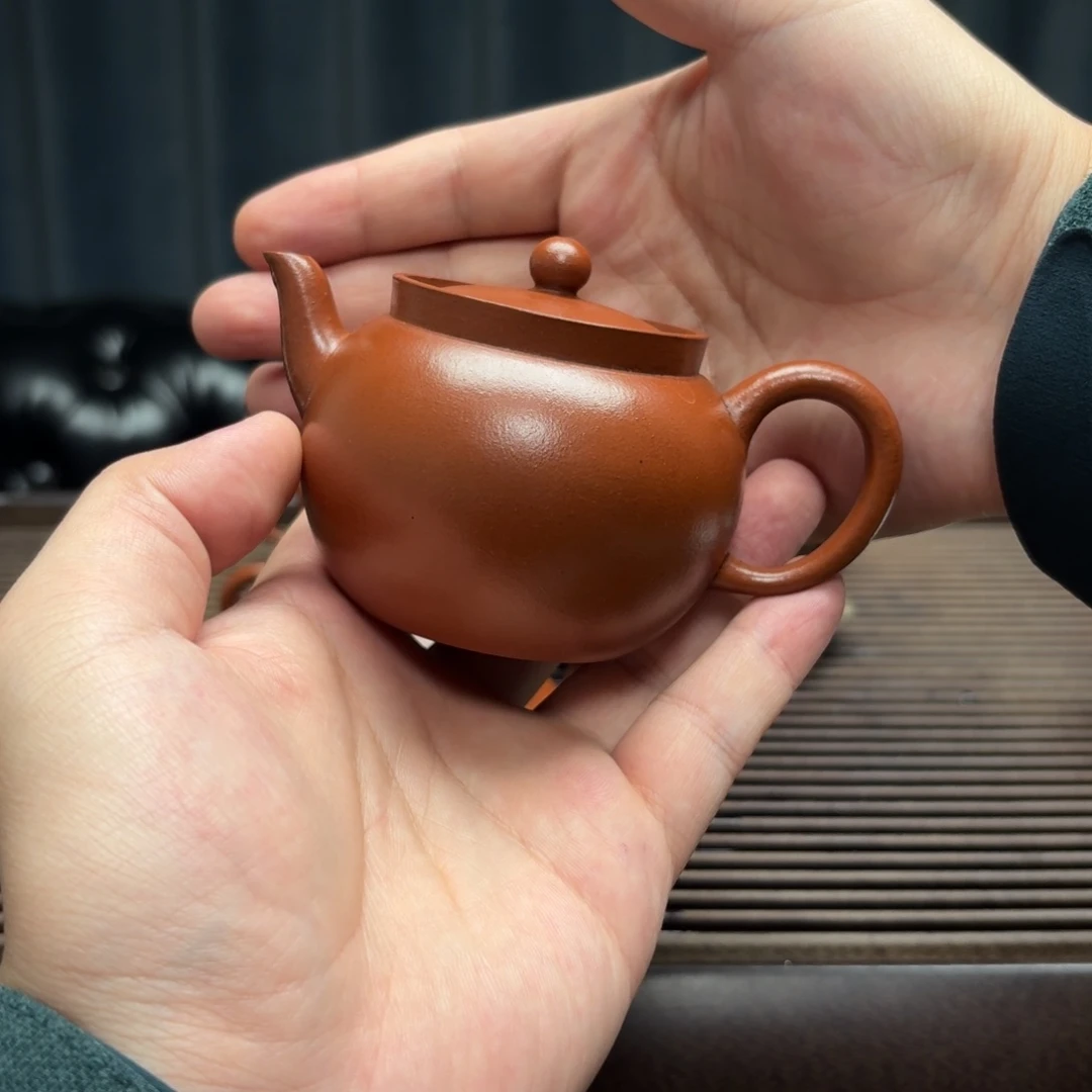 海***小茶壶紫砂海莲小小