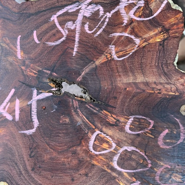 印度小叶紫檀15mm树头玉化瘤疤现切款