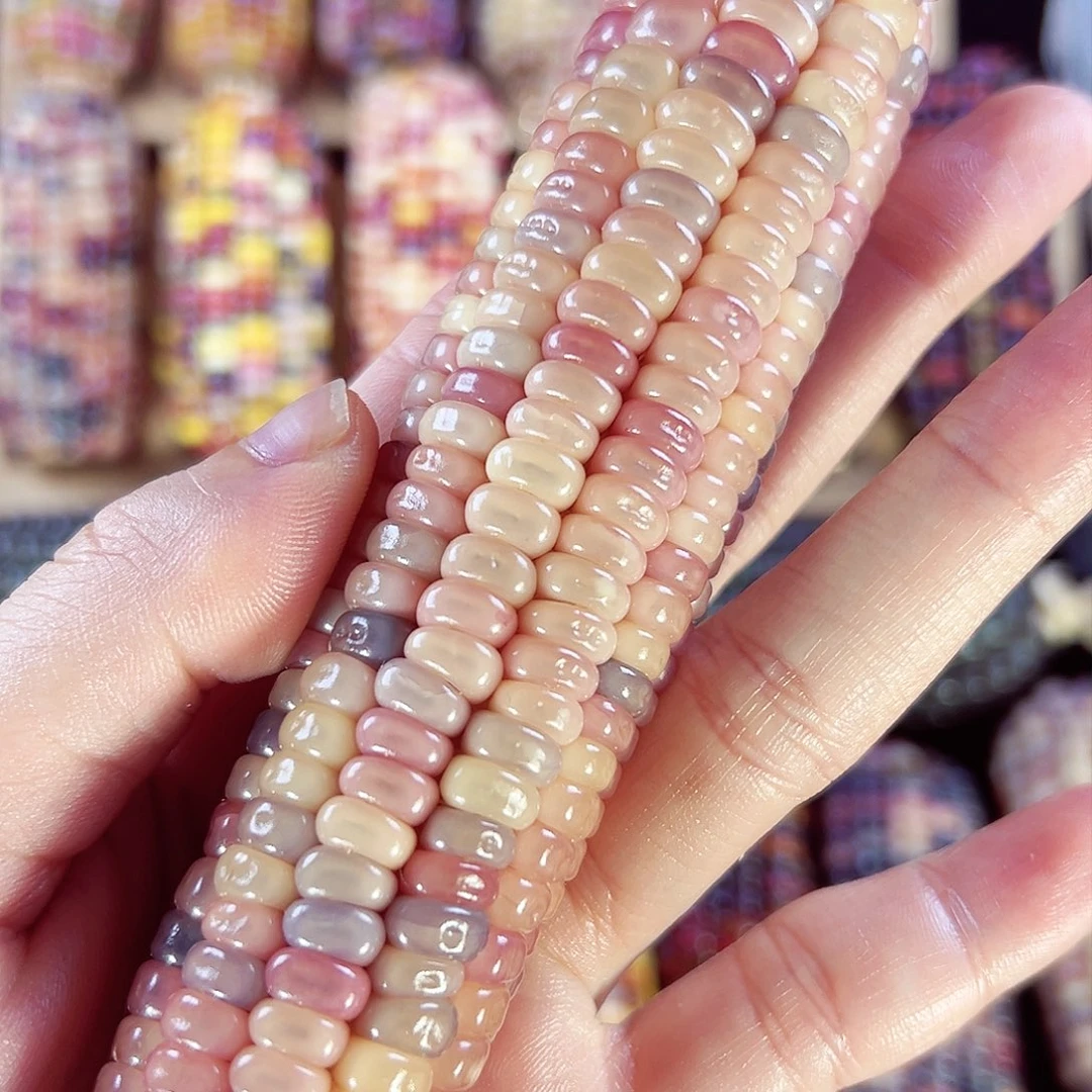 树脂雨****啦亲爱的拍300