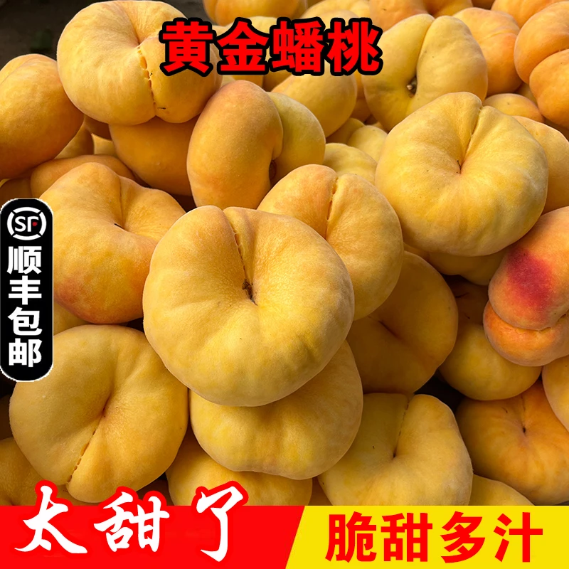 蒙阴毛蟠桃黄金蟠桃扁桃毛桃现摘现发脆甜多汁新鲜水果整箱孕妇