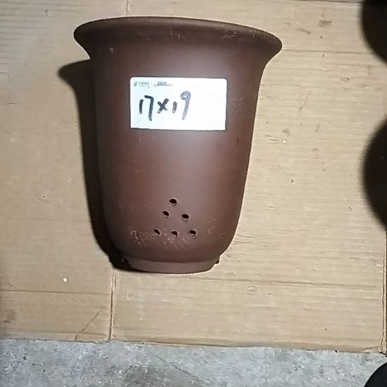 紫砂福利金钟紫砂