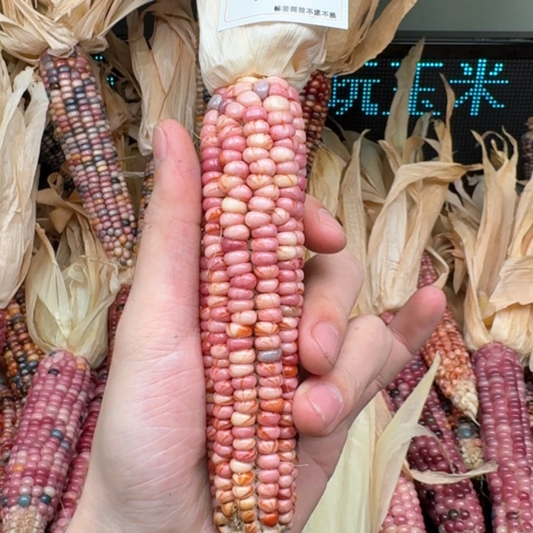 柏香籽/百香籽吊坠M*