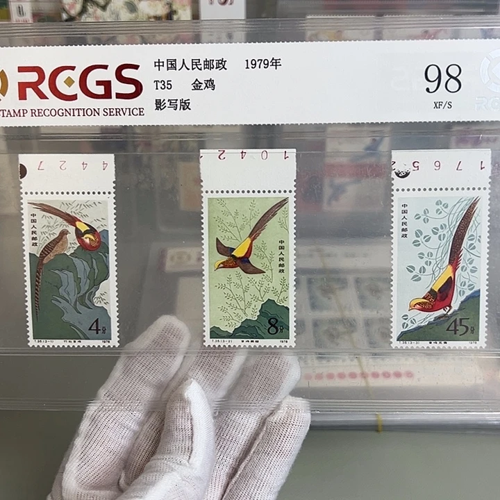 T35带数字号评级98