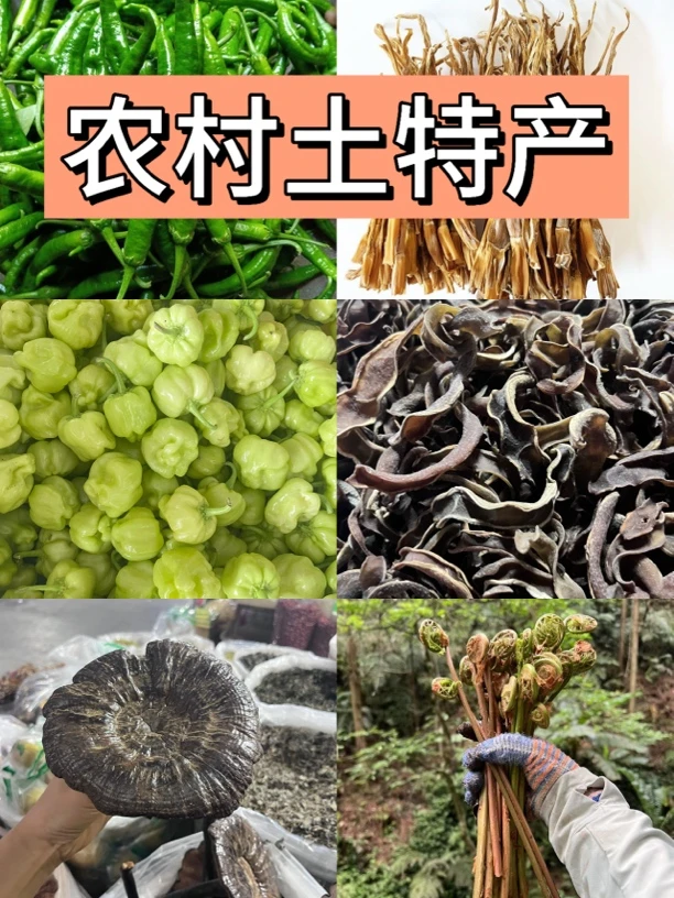 自配菜别乱拍1（农家自种菜）【下单主菜后再拍