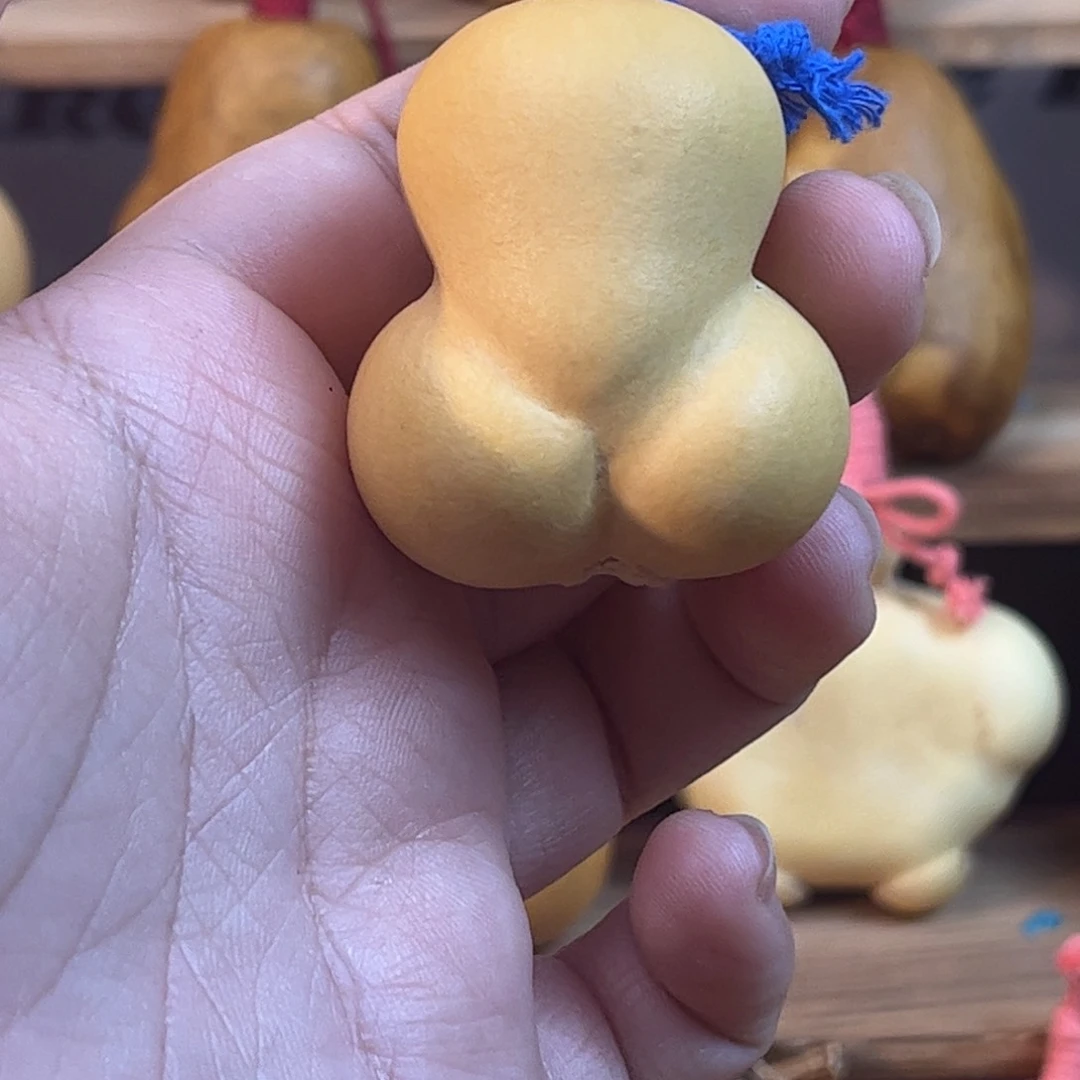 ?****g葫芦岛市委哈哈哈哈哈哈吧
