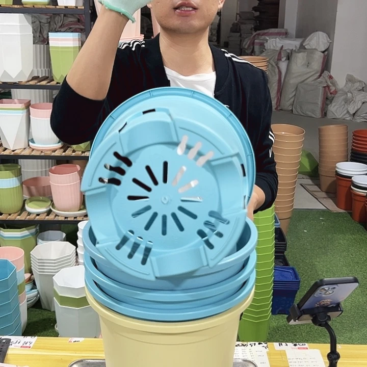 特价圆控根口24高24混色无托5个
