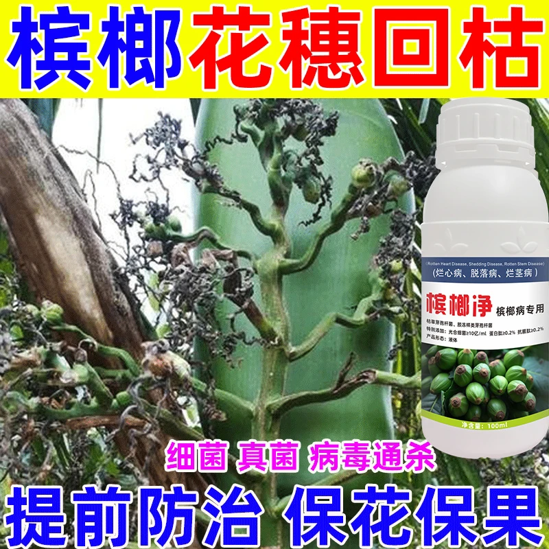 槟榔病全治细菌性条斑烂心药黄化炭疽褐根芽腐果腐专用微生物菌剂