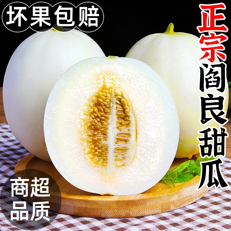 【晓姑娘】陕西阎良甜瓜小蜜蜂甜瓜非玉菇甜瓜羊角蜜甜瓜小香瓜