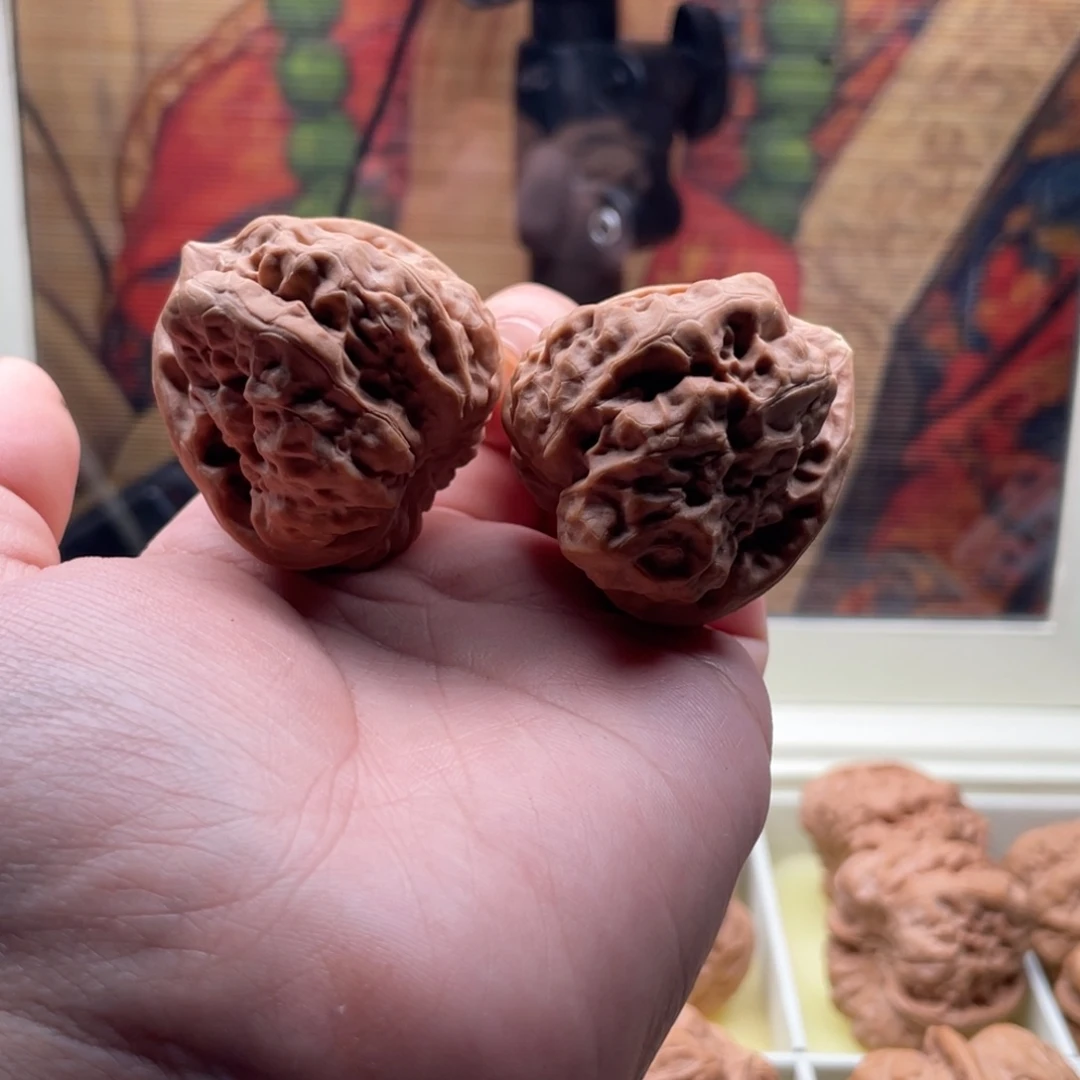 木质类38箭毒蛙蛙蛙蛙