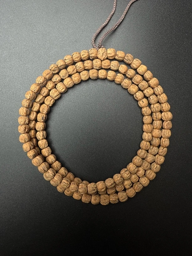 热振一哥《战.狂》定制级百香籽