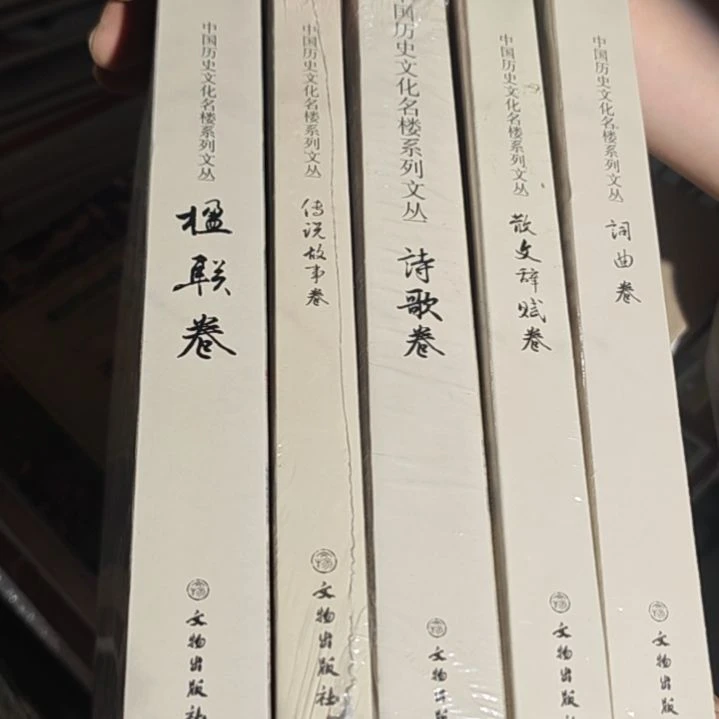 中国历史文化名楼系列文丛5本一套全新