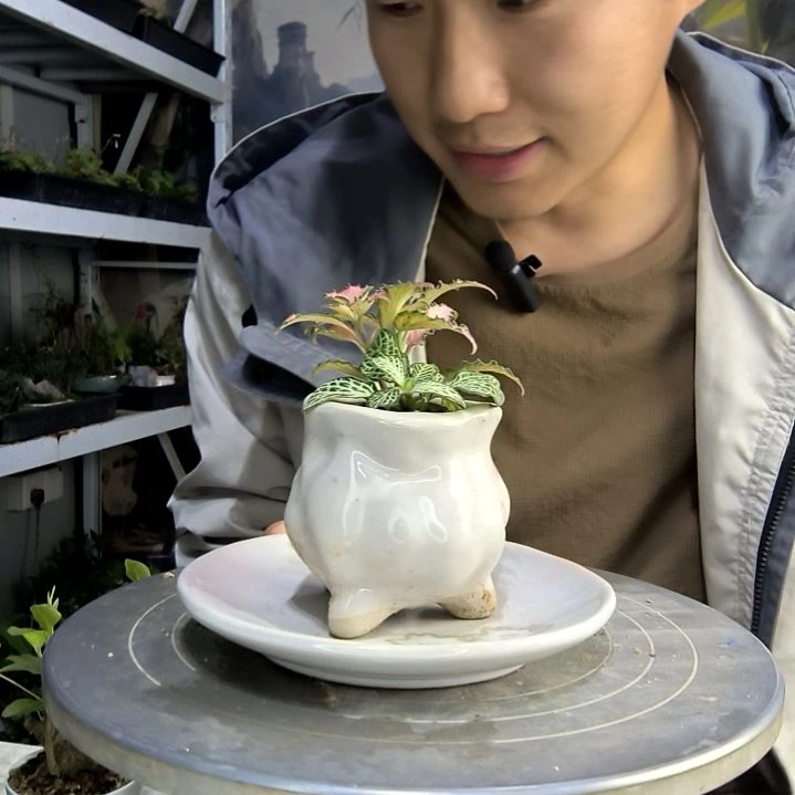 可****?中青园艺一物一拍136