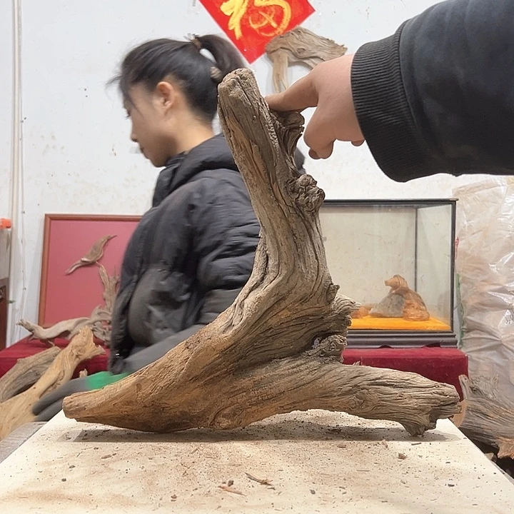 柏木展****）我们的生活也是