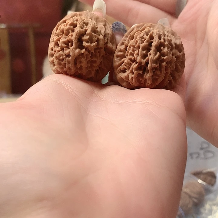 秦闷福利不退换 全品