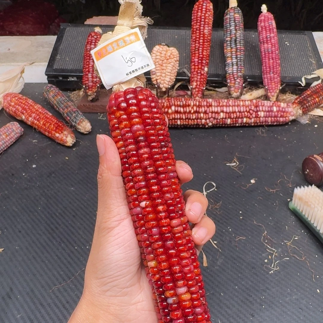 A***o吊坠柏香籽/百香籽