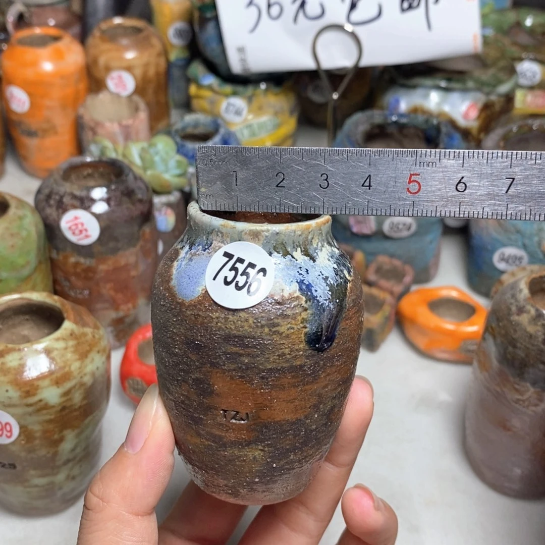 拍5送一个小礼物