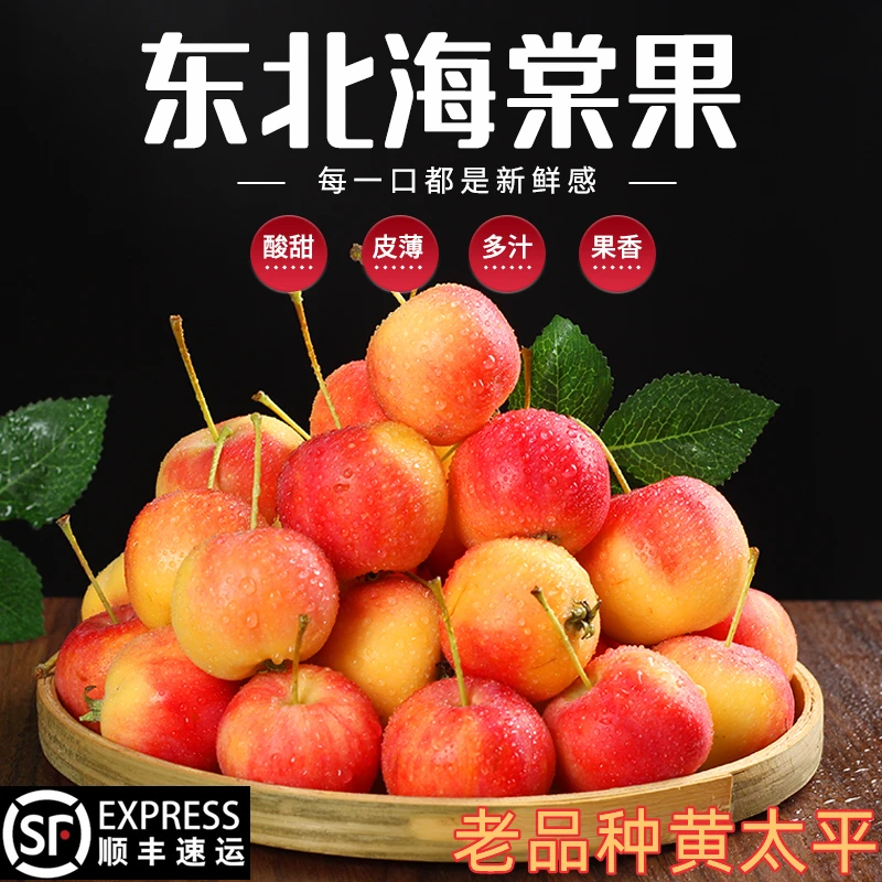 东北沙果老品种顺丰发货正宗黄太平新鲜孕妇水果非鸡心果非K9苹果