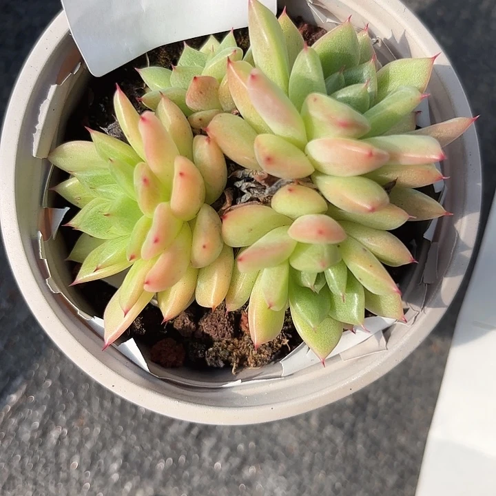 战后160还呀呀呀呀呀意思