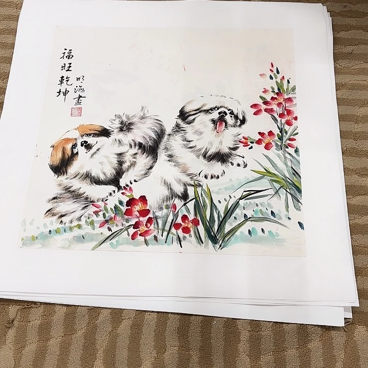国画花鸟的翅膀和翅膀是50.50