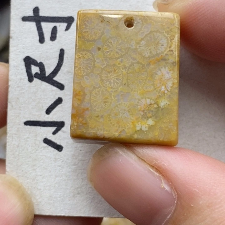 硅化珊瑚（珊瑚玉）未镶嵌颈饰