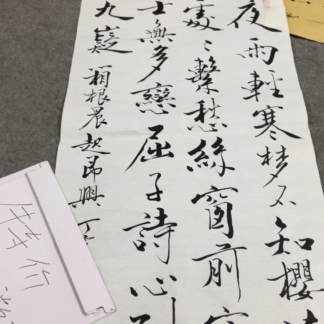 国画国画作品画心一张